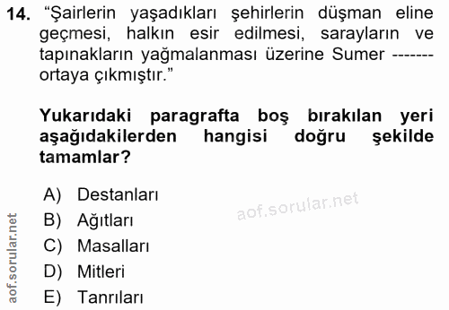 14. soru: "Şairlerin yaşadıkları şehirlerin düşman eline geçmesi, halkın esir edilmesi, sarayların ve tapınakların yağmalanması…