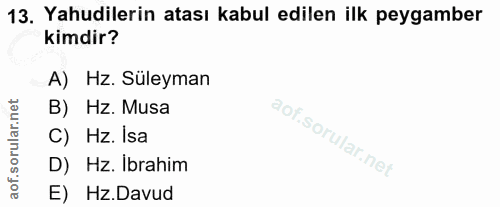 13. soru: Yahudilerin atası kabul edilen ilk peygamber kimdir? A) Hz. Süleyman B) Hz. Musa C) Hz. Isa D) Hz. İbrahim E) Hz.Davud