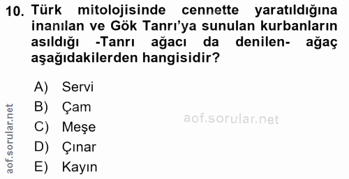 10. soru: Türk mitolojisinde cennette yaratıldığına inanılan ve Gök Tanri'ya sunulan kurbanların asıldığı -Tanrı ağacı da denil…