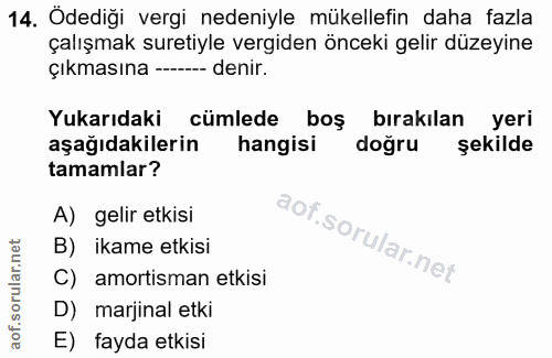 14. soru: Odediği vergi nedeniyle mükellefin daha fazla çalışmak suretiyle vergiden önceki gelir düzeyine çıkmasına -- denir. Y…