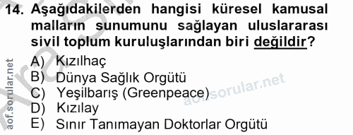 14. soru: Aşağıdakilerden hangisi küresel kamusal malların sunumunu sağlayan uluslararası sivil toplum kuruluşlarından biri değ…