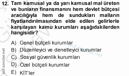 12. soru: Tam kamusal ya da yarı kamusal mal üreten ve bunların finansmanını hem devlet bütçesi aracılığıyla hem de sundukları…