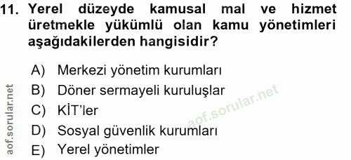 11. soru: Yerel düzeyde kamusal mal ve hizmet üretmekle yükümlü olan kamu yönetimleri aşağıdakilerden hangisidir? A) Merkezi yö…