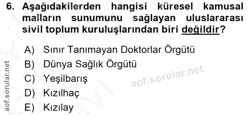6. soru: Aşağıdakilerden hangisi küresel kamusal malların sunumunu sağlayan uluslararası sivil toplum kuruluşlarından biri değ…