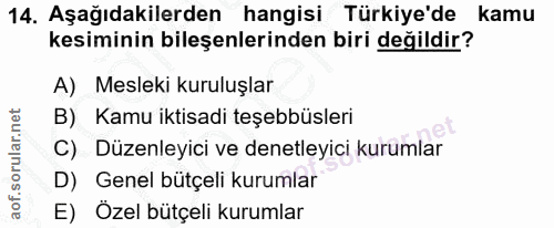 14. soru: Aşağıdakilerden hangisi Türkiye'de kamu kesiminin bileşenlerinden biri değildir? A) Mesleki kuruluşlar B) Kamu iktisa…