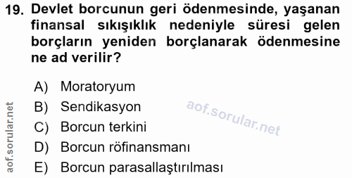 19. soru: Devlet borcunun geri ödenmesinde, yaşanan finansal sıkışıklık nedeniyle süresi gelen borçların yeniden borçlanarak öd…