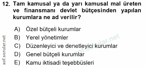 12. soru: Tam kamusal ya da yarı kamusal mal üreten ve finansmanı devlet bütçesinden yapılan kurumlara ne ad verilir? A) Özel b…