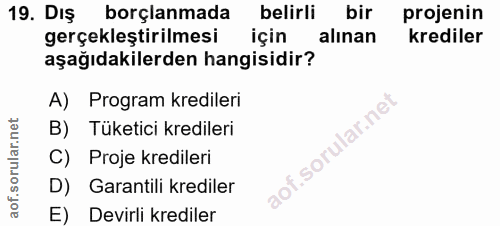 19. soru: Dış borçlanmada belirli bir projenin gerçekleştirilmesi için alınan krediler aşağıdakilerden hangisidir? A) Program k…