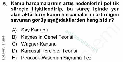 5. soru: Kamu harcamalarının artış nedenlerini politik süreçle ilişkilendirip, bu süreç içinde yer alan aktörlerin kamu harcam…