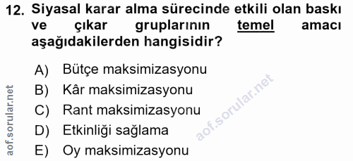 12. soru: Siyasal karar alma sürecinde etkili olan baskı ve çıkar gruplarının temel amacı aşağıdakilerden hangisidir? A) Bütçe…