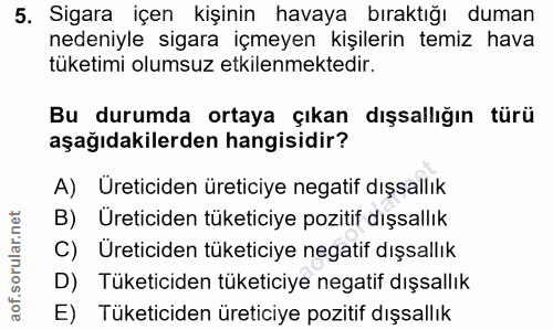 5. soru: Sigara içen kişinin havaya bıraktığı duman nedeniyle sigara içmeyen kişilerin temiz hava tüketimi olumsuz etkilenmekt…