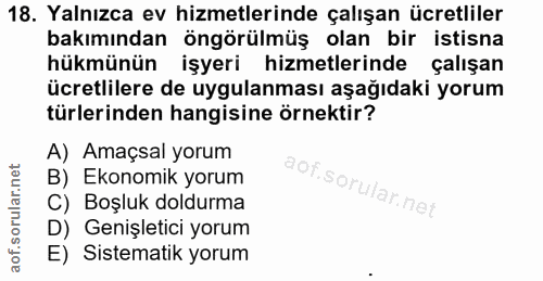 18. soru: Yalnızca ev hizmetlerinde çalışan ücretliler bakımından öngörülmüş olan bir istisna hükmünün işyeri hizmetlerinde çal…