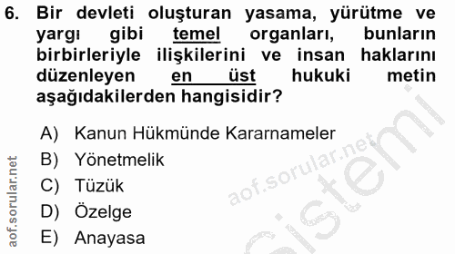 6. soru: Bir devleti oluşturan yasama, yürütme ve yargı gibi temel organları, bunların birbirleriyle ilişkilerini ve insan hak…