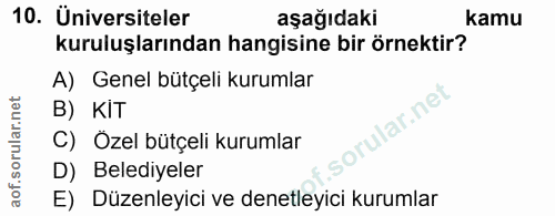 10. soru: Üniversiteler aşağıdaki kamu kuruluşlarından hangisine bir örnektir? A) Genel bütçeli kurumlar B) KiT rular.net C) Öz…