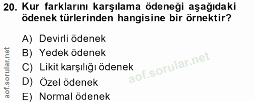 20. soru: Kur farklarını karşılama ödeneği aşağıdaki ödenek türlerinden hangisine bir örnektir? A) Devirli ödenek B) Yedek öden…