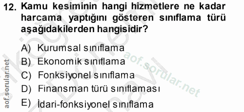 12. soru: Kamu kesiminin hangi hizmetlere ne kadar harcama yaptığını gösteren sınıflama türü aşağıdakilerden hangisidir? A) Kur…