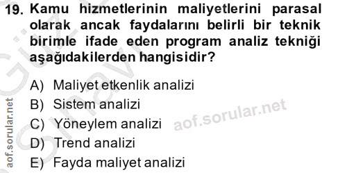 19. soru: Kamu hizmetlerinin maliyetlerini parasal olarak ancak faydalarını belirli bir teknik birimle ifade eden program anali…