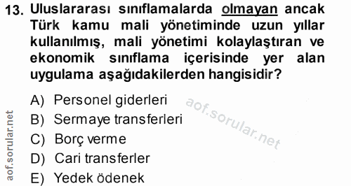 13. soru: Uluslararası sınıflamalarda olmayan ancak Türk kamu mali yönetiminde uzun yıllar kullanılmış, mali yönetimi kolaylaşt…