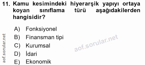 11. soru: Kamu kesimindeki hiyerarşik yapıyı ortaya koyan sınıflama türü aşağıdakilerden hangisidir? A) Fonksiyonel B) Finansma…