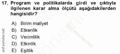 17. soru: Program ve politikalarda girdi ve çıktıyla ilgilenen karar alma ölçütü aşağıdakilerden hangisidir? A) Birim maliyet B…