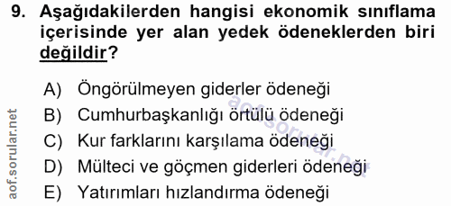 9. soru: Aşağıdakilerden hangisi ekonomik sınıflama içerisinde yer alan yedek ödeneklerden biri değildir? A) Öngörülmeyen gide…