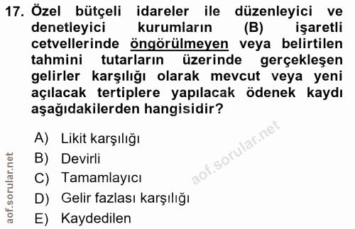 17. soru: Özel bütçeli idareler ile düzenleyici ve denetleyici kurumların (B) işaretli cetvellerinde öngörülmeyen veya belirtil…
