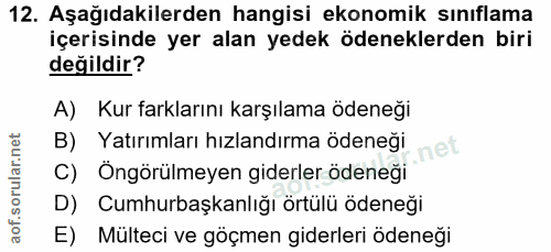 12. soru: Aşağıdakilerden hangisi ekonomik sınıflama içerisinde yer alan yedek ödeneklerden biri değildir? A) Kur farklarını ka…
