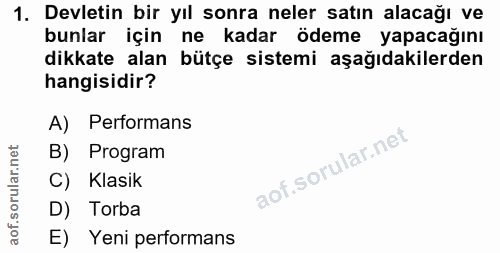 1. soru: Devletin bir yıl sonra neler satın alacağı ve bunlar için ne kadar ödeme yapacağını dikkate alan bütçe sistemi aşağıd…
