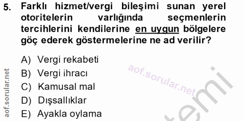 5. soru: Farklı hizmet/vergi bileşimi sunan yerel otoritelerin varlığında seçmenlerin tercihlerini kendilerine en uygun bölgel…