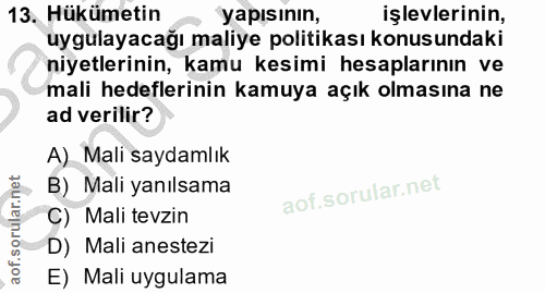 13. soru: Hükümetin yapısının, işlevlerinin, uygulayacağı maliye politikası konusundaki niyetlerinin, kamu kesimi hesaplarının…