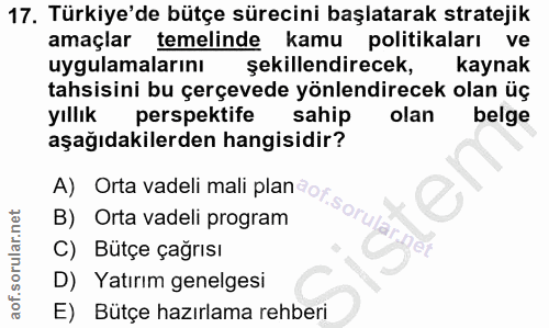 17. soru: Türkiye'de bütçe sürecini başlatarak stratejik amaçlar temelinde kamu politikaları ve uygulamalarını şekillendirecek,…