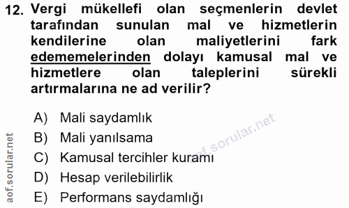 12. soru: Vergi mükellefi olan seçmenlerin devlet tarafından sunulan mal ve hizmetlerin kendilerine olan maliyetlerini fark ede…