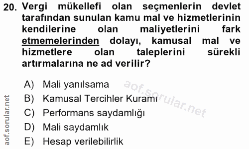 20. soru: Vergi mükellefi olan seçmenlerin devlet tarafından sunulan kamu mal ve hizmetlerinin kendilerine olan maliyetlerini f…