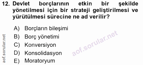 12. soru: Devlet borçlarının etkin bir şekilde yönetilmesi için bir strateji geliştirilmesi ve yürütülmesi sürecine ne ad veril…