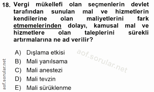 18. soru: Vergi mükellefi olan seçmenlerin devlet tarafından sunulan mal ve hizmetlerin kendilerine olan maliyetlerini fark etm…