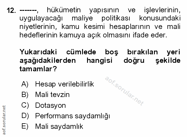 12. soru: -- hükümetin yapısının ve işlevlerinin, uygulayacağı maliye politikası konusundaki niyetlerinin, kamu kesimi hesaplar…
