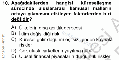 10. soru: Aşağıdakilerden hangisi küreselleşme sürecinde uluslararası kamusal malların ortaya çıkmasını etkileyen faktörlerden…