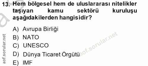 13. soru: Hem bölgesel hem de uluslararası nitelikler taşıyan kamu sektörü kuruluşu aşağıdakilerden hangisidir? A) Avrupa Birli…
