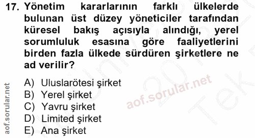 17. soru: Yönetim kararlarının farklı ülkelerde bulunan üst düzey yöneticiler tarafından küresel bakış açısıyla alındığı, yerel…