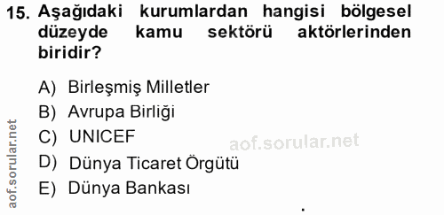 15. soru: Aşağıdaki kurumlardan hangisi bölgesel düzeyde kamu sektörü aktörlerinden biridir? A) Birleşmiş Milletler B) Avrupa B…