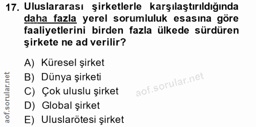 17. soru: Uluslararası şirketlerle karşılaştırıldığında daha fazla yerel sorumluluk esasına göre faaliyetlerini birden fazla ül…