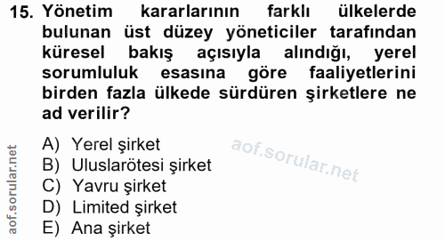 15. soru: Yönetim kararlarının farklı ülkelerde bulunan üst düzey yöneticiler tarafından küresel bakış açısıyla alındığı, yerel…