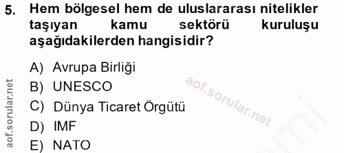 5. soru: Hem bölgesel hem de uluslararası nitelikler taşıyan kamu sektörü kuruluşu aşağıdakilerden hangisidir? A) Avrupa Birli…