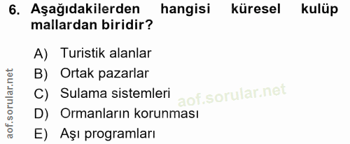 6. soru: Aşağıdakilerden hangisi küresel kulüp mallardan biridir? A) Turistik alanlar B) Ortak pazarlar C) Sulama sistemleri D…