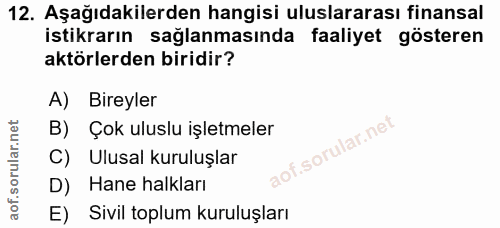 12. soru: Aşağıdakilerden hangisi uluslararası finansal istikrarın sağlanmasında faaliyet gösteren aktörlerden biridir? A) Bire…