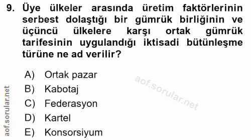 9. soru: Uye ülkeler arasında üretim faktörlerinin serbest dolaştığı bir gümrük birliğinin ve üçüncü ülkelere karşı ortak gümr…