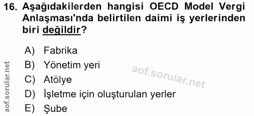 16. soru: Aşağıdakilerden hangisi OECD Model Vergi Anlaşması'nda belirtilen daimi iş yerlerinden biri değildir? A) Fabrika B) Y…
