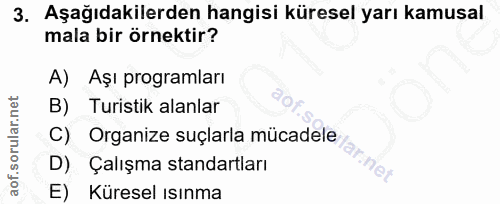 3. soru: Aşağıdakilerden hangisi küresel yarı kamusal mala bir örnektir? A) Aşı programları Turistik alanlar C) Organize suçla…