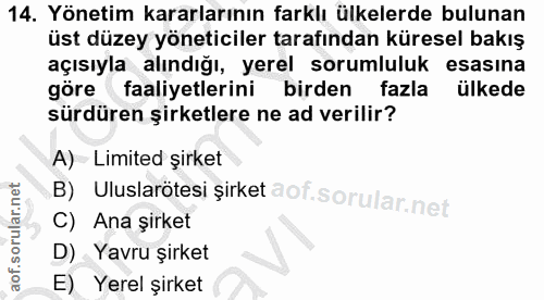 14. soru: Yönetim kararlarının farklı ülkelerde bulunan üst düzey yöneticiler tarafından küresel bakış açısıyla alındığı, yerel…