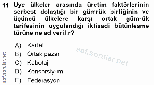 11. soru: Üye ülkeler arasında üretim faktörlerinin serbest dolaştığı bir gümrük birliğinin ve üçüncü ülkelere karşı ortak gümr…